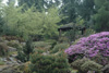 garden-scene-3