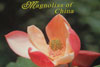 magnolia-book-cover