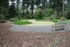 pond-1